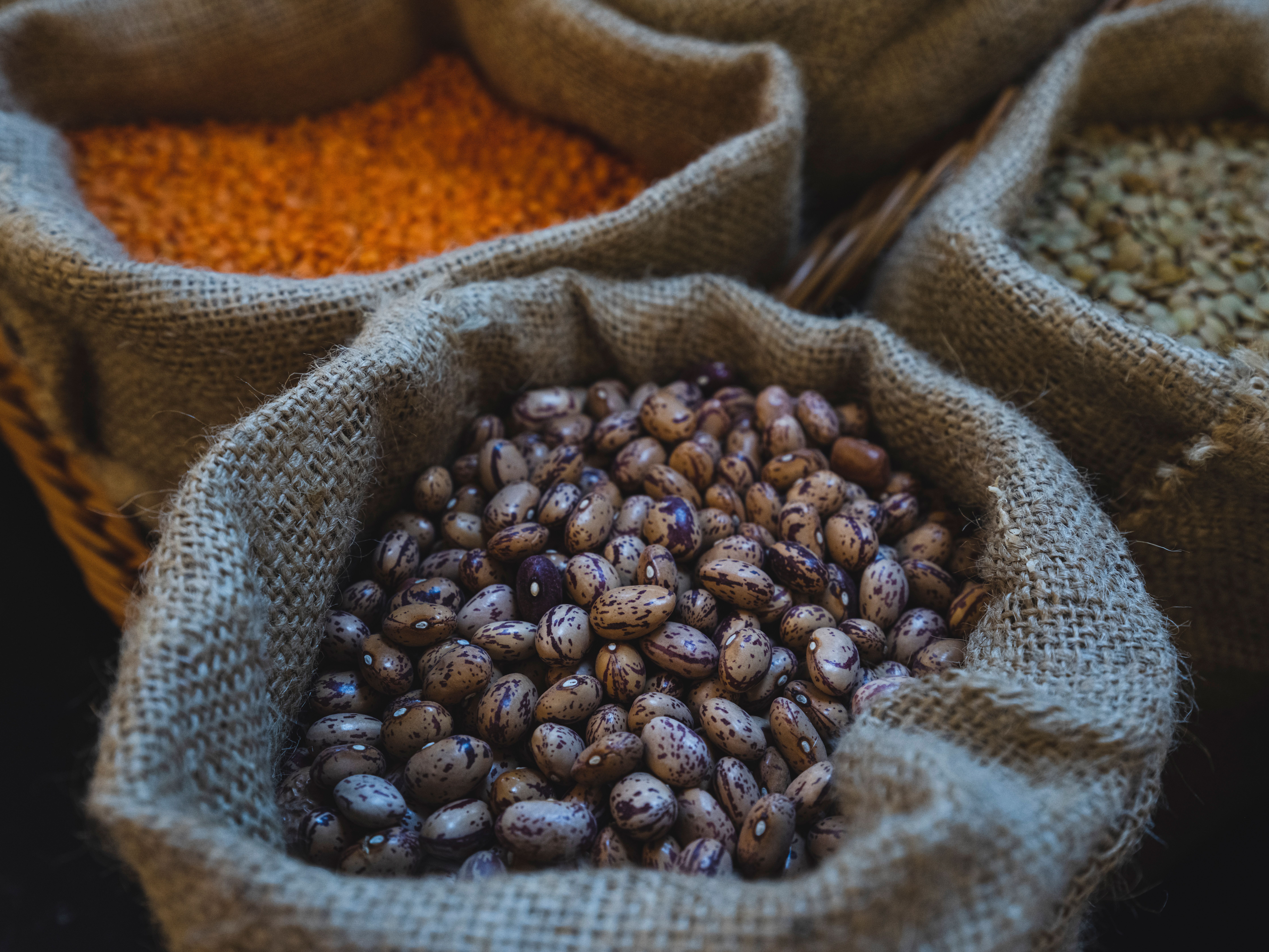 Pulses and grains in bulk sacks for wholesale food supply